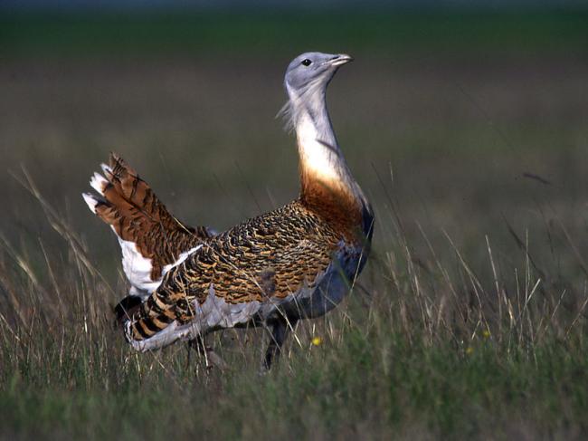 Sights and Attractions