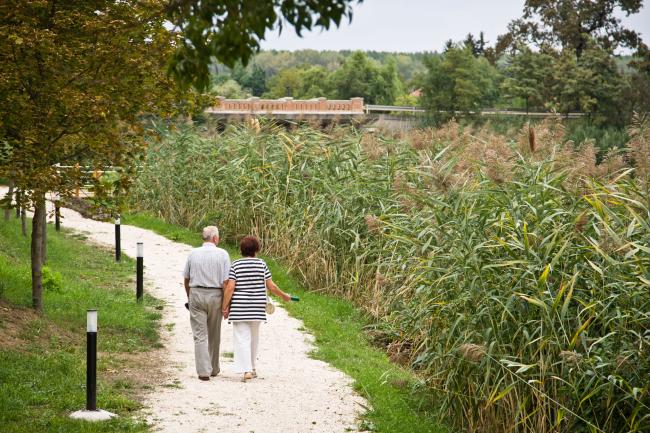 Sights and Attractions