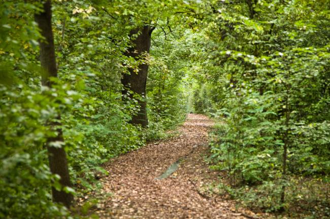 Sights and Attractions