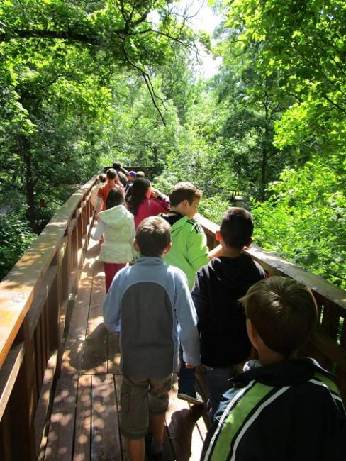 Sights and Attractions