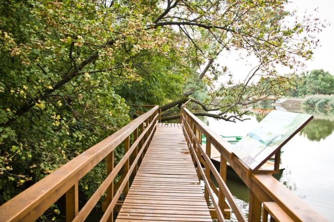 Sights and Attractions